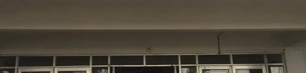 gallery 7