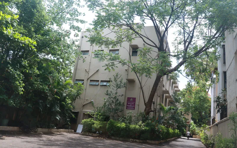 Gallery 4