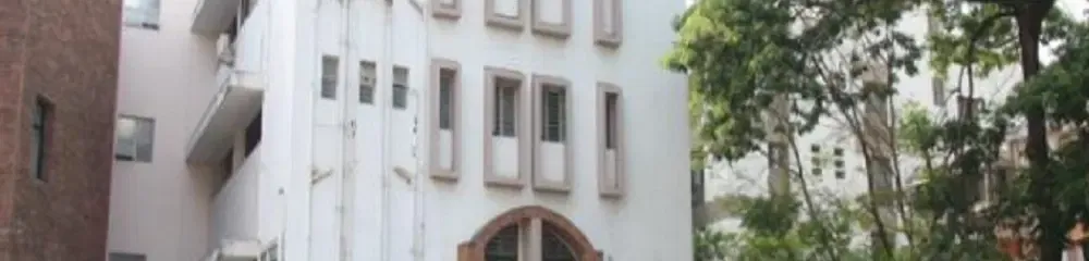 Gallery 4