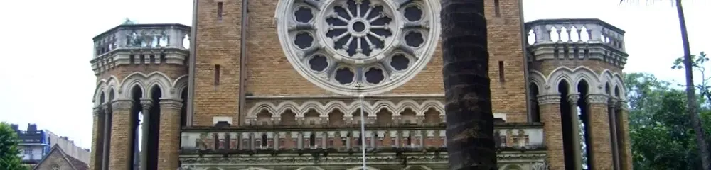 Gallery 4