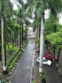 gallery 6
