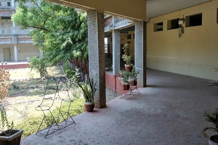 Gallery 4