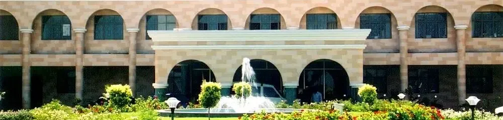 Gallery 5