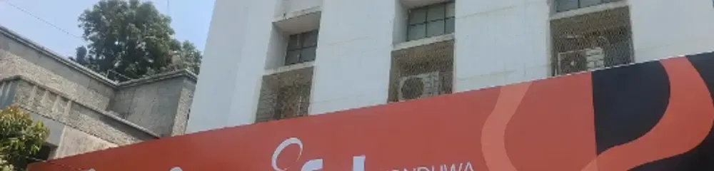 Gallery 5