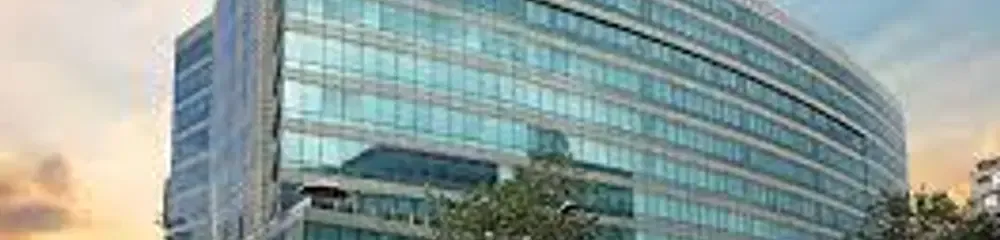Gallery 4