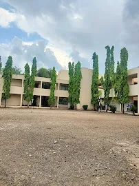 gallery 8