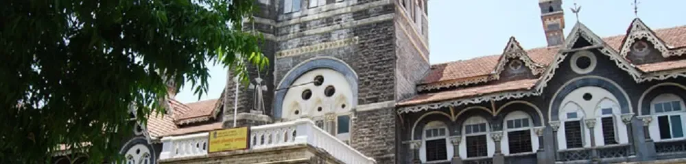 gallery 6
