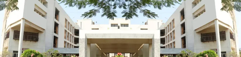 gallery 8