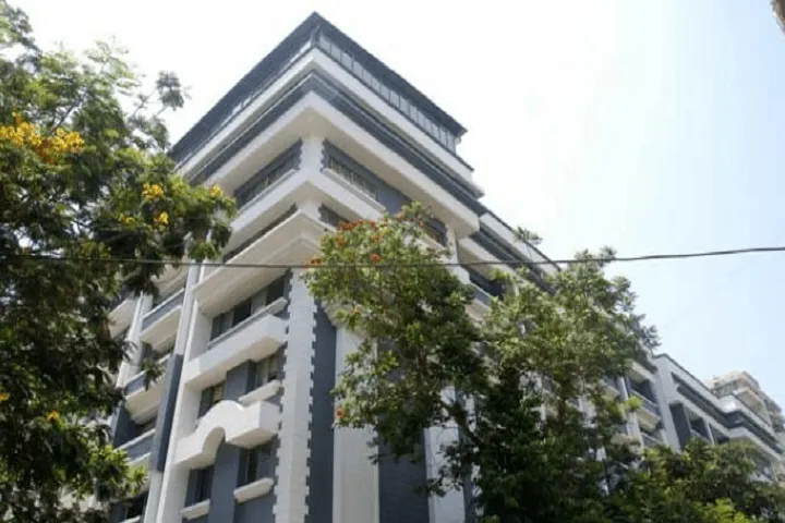 gallery 6