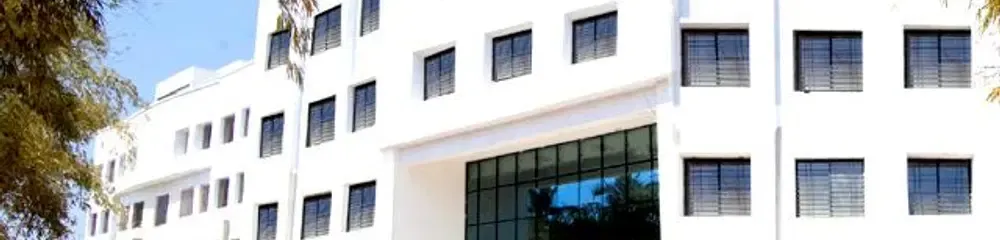 gallery 8