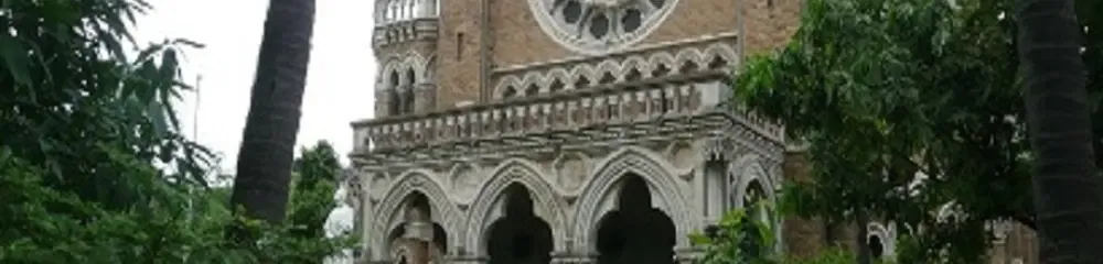 gallery 7
