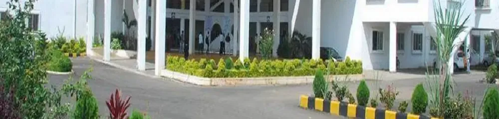 gallery 6