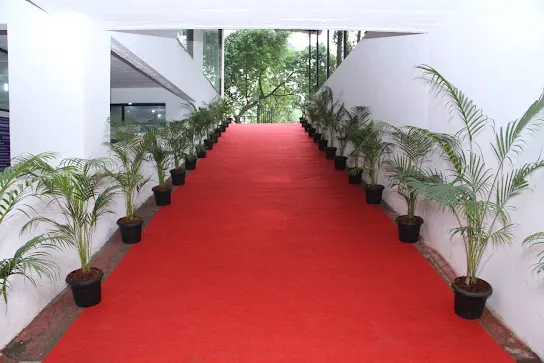 Gallery 5
