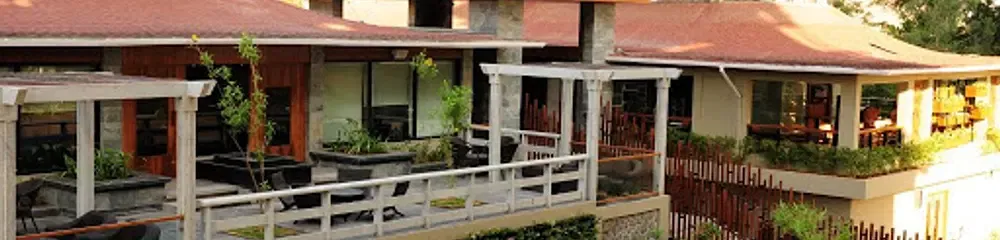 gallery 10