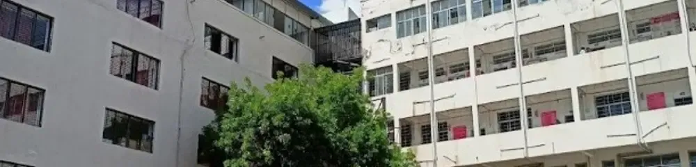 Gallery 5