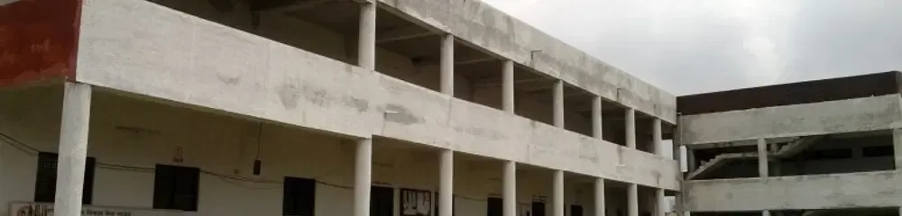 gallery 7