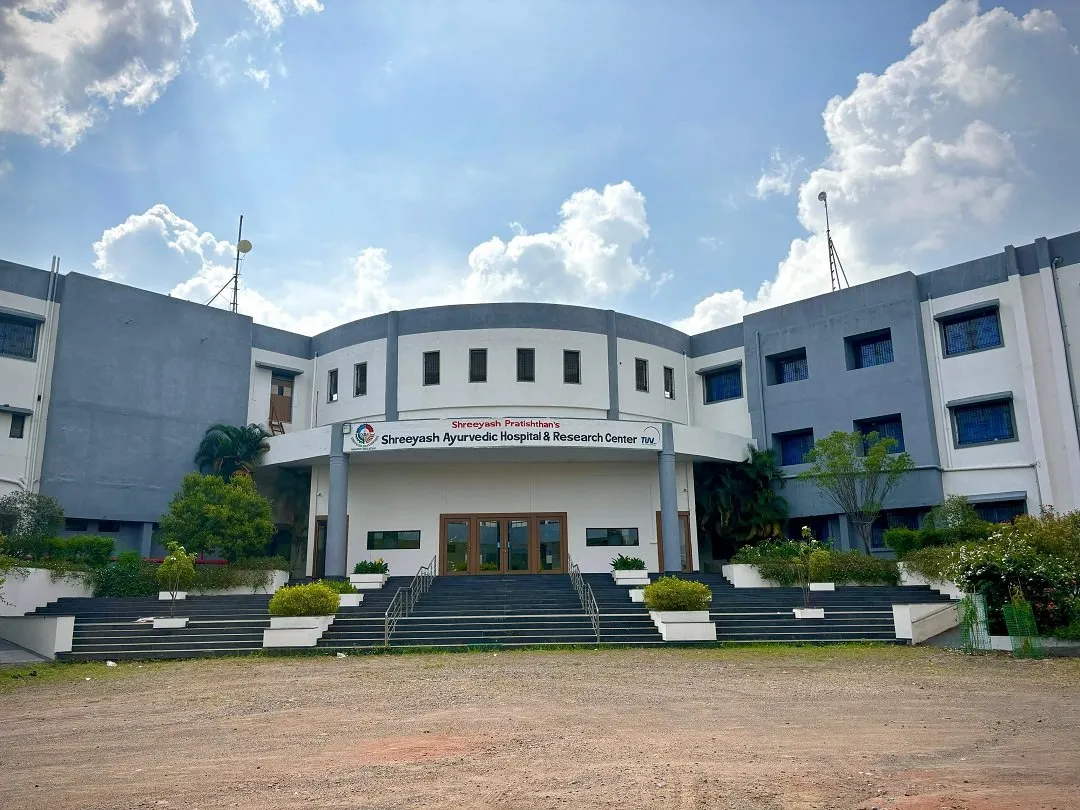 gallery 7