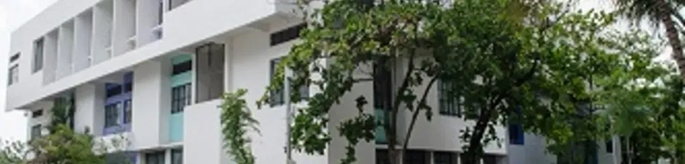 gallery 8