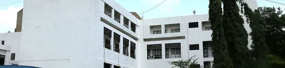 gallery 4