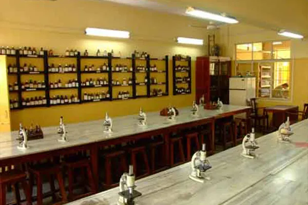 Gallery 4