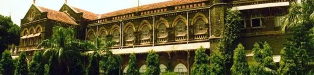 gallery 7