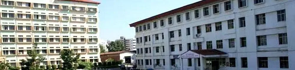 gallery 6
