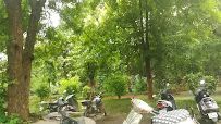 gallery 6