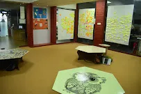 gallery 6