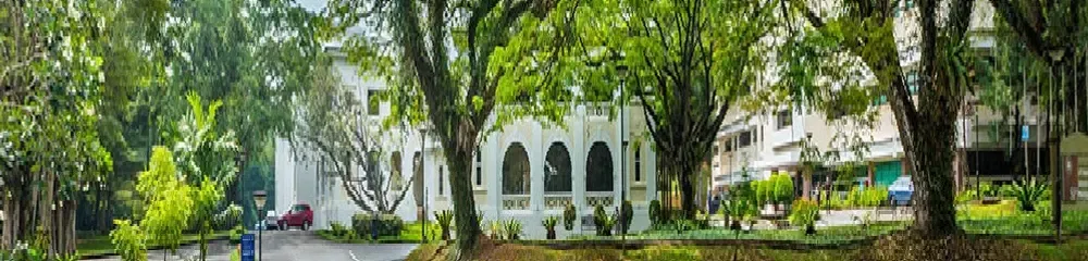gallery 6
