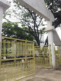gallery 6