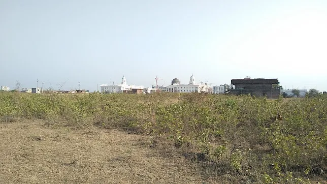 gallery 7
