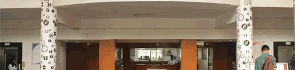 gallery 6