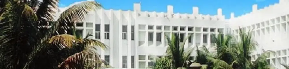 Gallery 5