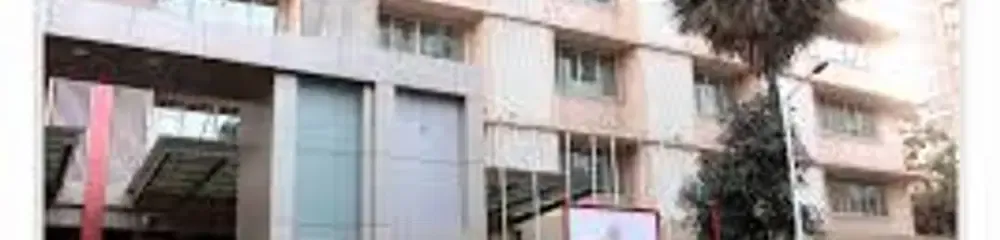gallery 10