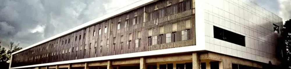 Gallery 5