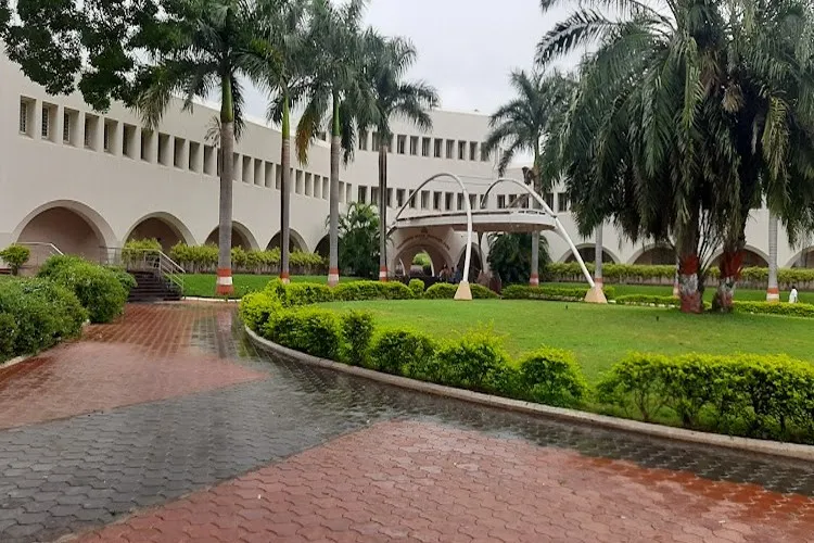 Gallery 4