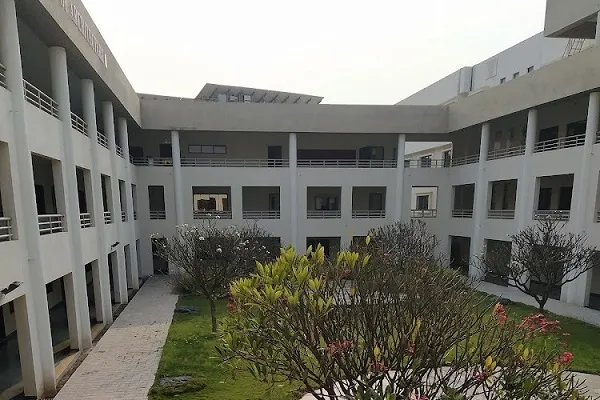 Gallery 5
