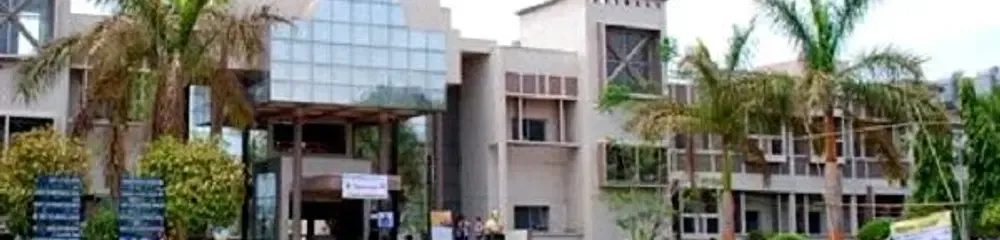 Gallery 4