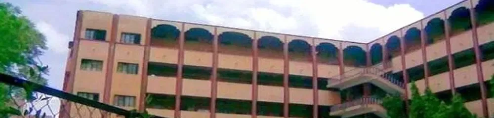 Gallery 5
