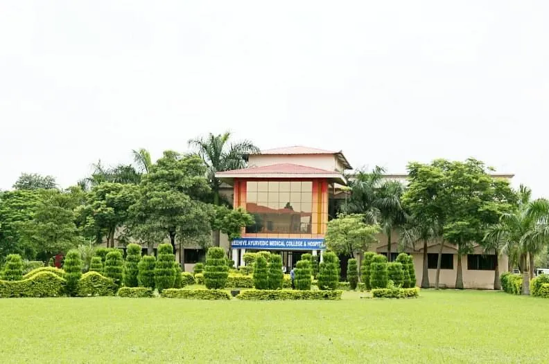 Gallery 5