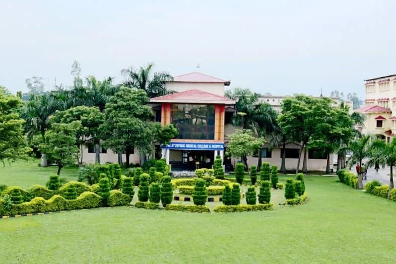 gallery 6
