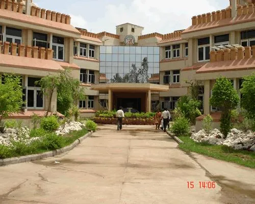 Gallery 5