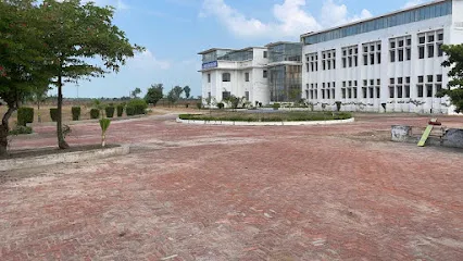 gallery 8