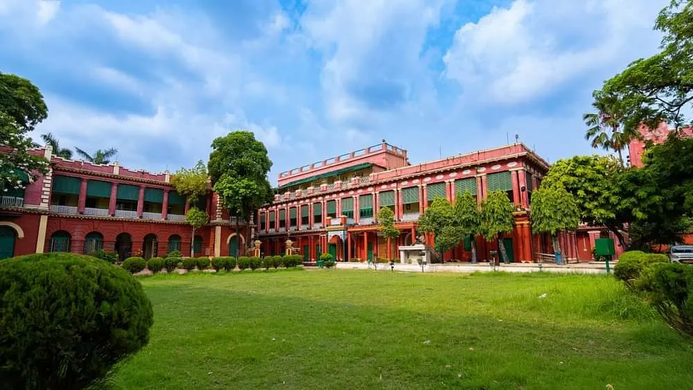 gallery 6