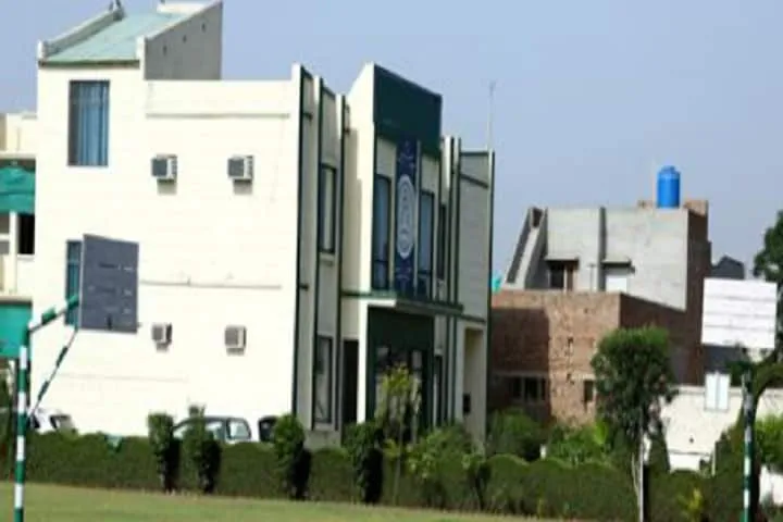 gallery 5