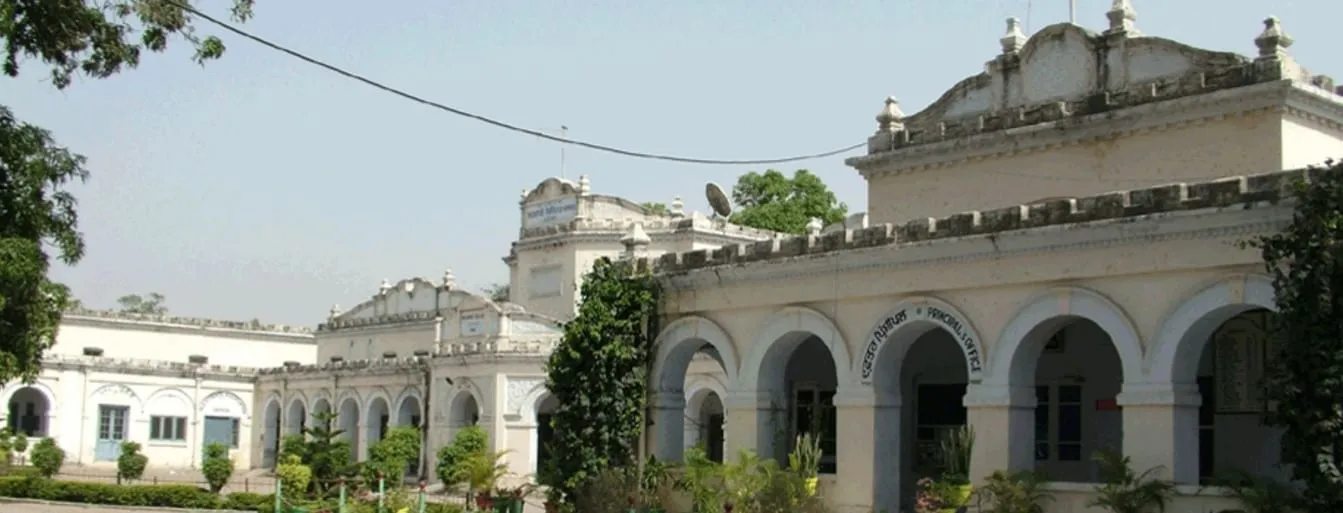 gallery 7