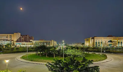 gallery 9