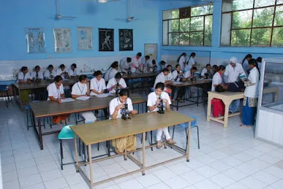 gallery 7