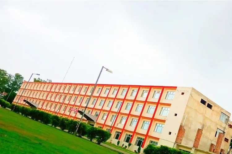 gallery 4