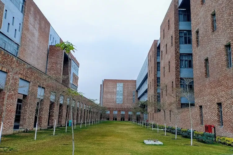 gallery 5